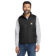 Carhartt Gilliam Vest CT102286 Black